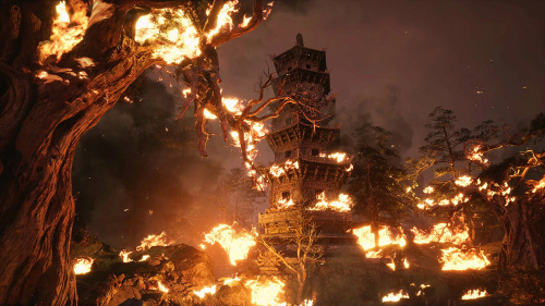 Игра Black Myth: Wukong [PS5, русские субтитры] (EU)